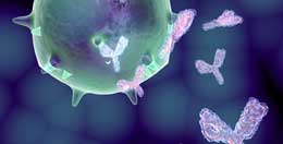 Orqanizmimizin ağıllı silahları:Antitellər