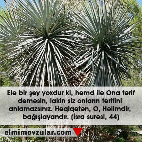 Bir-birinə uyğun yaradılan canlılar 